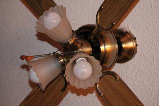 trendy ceiling fans